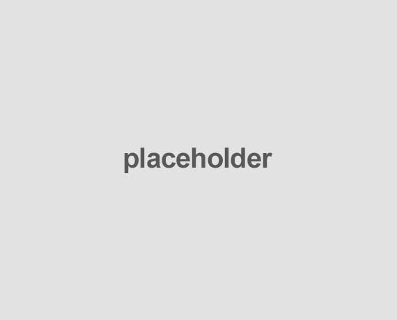 Portfolio item 1